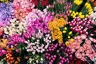 PlayStation官方音乐会明年4月开启全球巡演