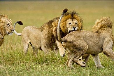 《漫威争锋》内测大量英雄技能游戏内演示视频